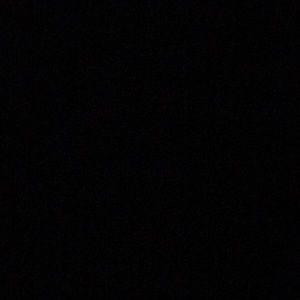 Meet your Posher, Will